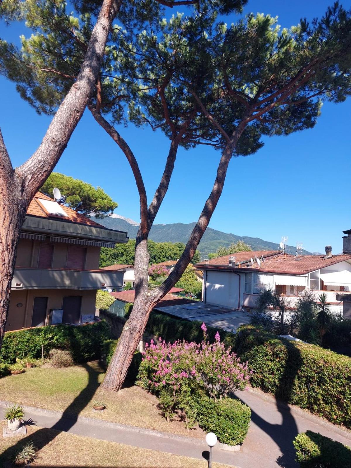 Appartamento Al Mare Di Liguria E Toscana Marina di Massa Extérieur photo